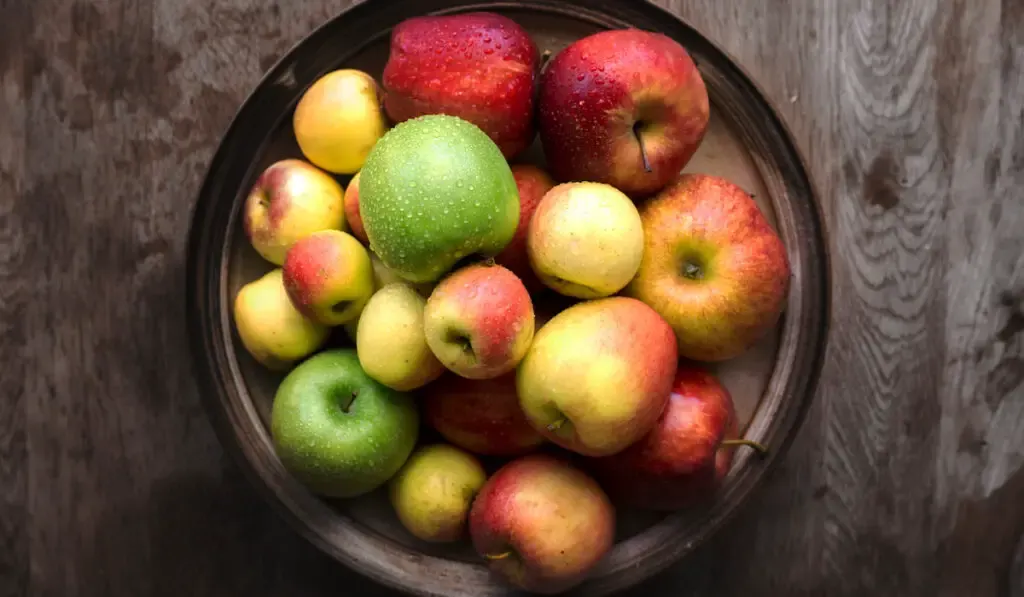 Different fresh apples on a black plate