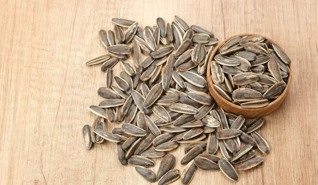 Sunflower Seeds on wooden bowl and on wooden table